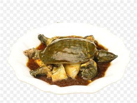 Chinese Softshell Turtle Unadon Food Nutrition Png 1000x750px Turtle
