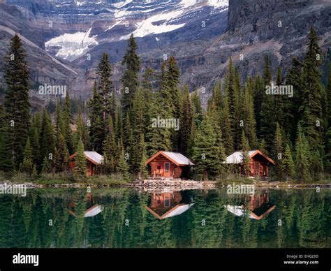 25 Luxury Yoho National Park Cabins