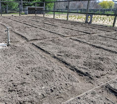 Preparing the Vegetable Garden at My Farm - The Martha Stewart Blog