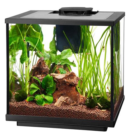 Aqueon Designer Led Shrimp Aquarium Kit 75 Gallons The Fish Room