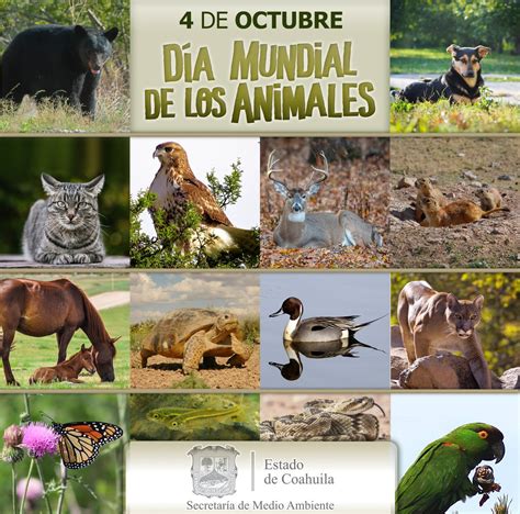 Top 120 Imagenes De La Fauna De Coahuila Theplanetcomicsmx