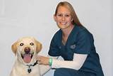 University Of Minnesota Veterinary Clinic Images