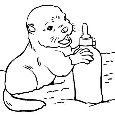 19 Sea Otters Coloring Pages Free Printable Coloring Pages