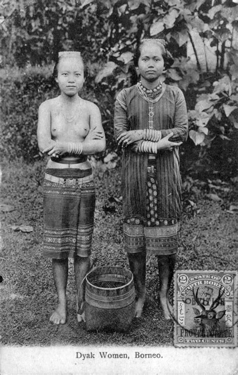 Dayak Women North Borneo 1909 Borneo Indigenous Tribes Old Photography