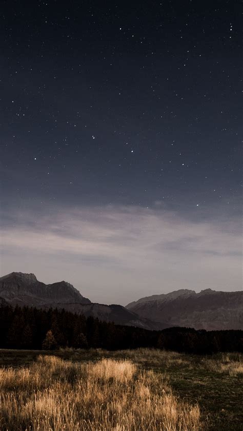 Download Wallpaper 800x1420 Starry Sky Night Stars Grass Mountains