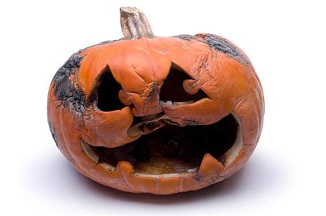 Rotten Pumpkins Stock Photos Pictures And Royalty Free Images Istock