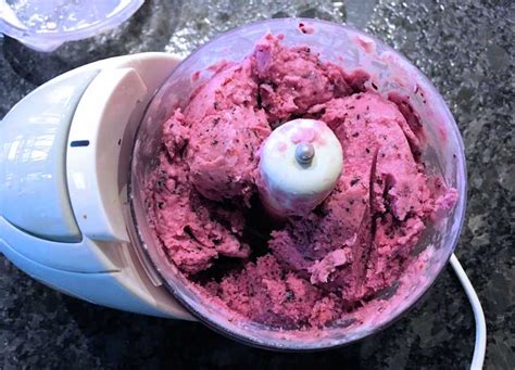 Blueberry Frozen Yoghurt Recipe Cuisine Fiend