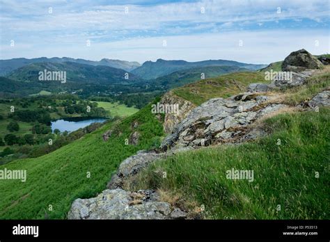 Ivy Crag Hi Res Stock Photography And Images Alamy