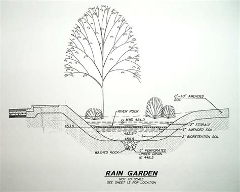 Rain Garden Dwg Annibbb Flickr