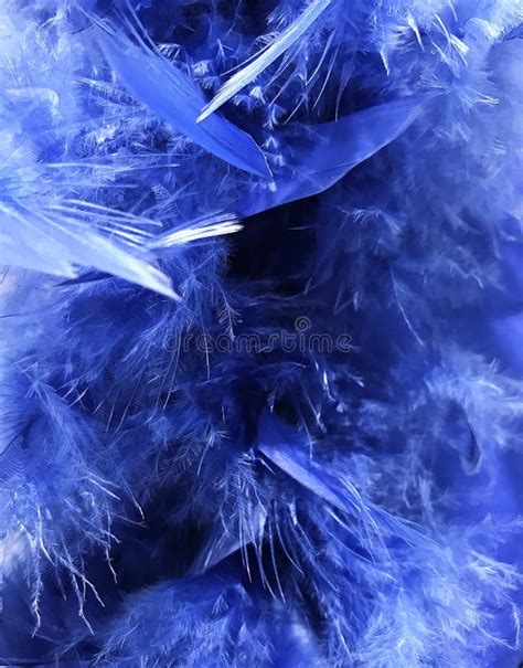 Colored Feathers Photographed As Texture And Background Stock Image
