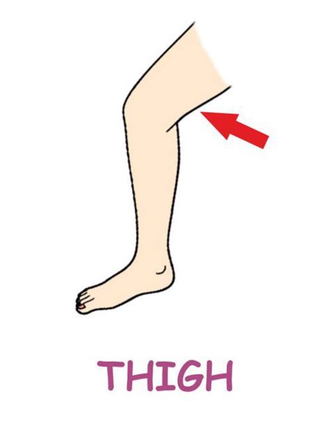 Thigh In Body Parts Spanx Mid Thigh Body Bodieswasune