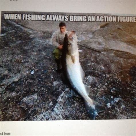 Bahahaha Fishing Humor Fishing Memes Funny Pictures