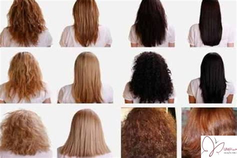 طريقة معرفة نوع الشعر الخاص بك والعناية به