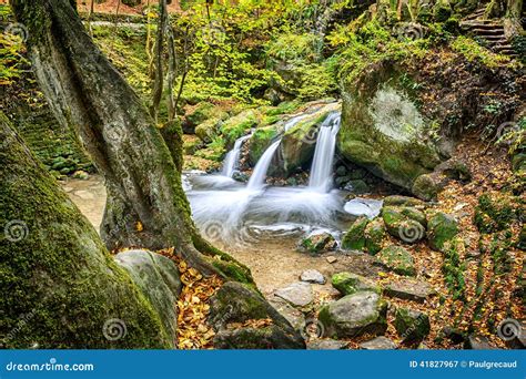 Beautiful Waterfall In Autumn Forest Stock Image Image Of Orange