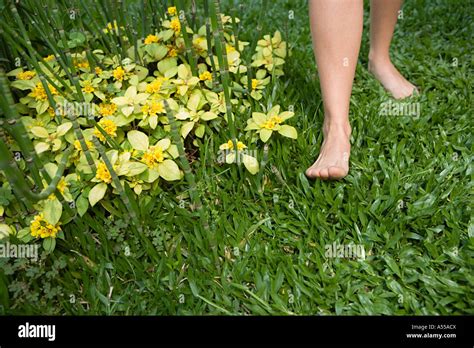 Barefeet Barefoot Leg Hi Res Stock Photography And Images Alamy