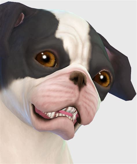 Eezoshot Open Up Your Eyes Pet Defaults This Ts4 Pets Cc Finds