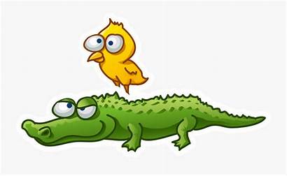 Crocodile Alligator Clipart Bird Nile Cartoon Getdrawings