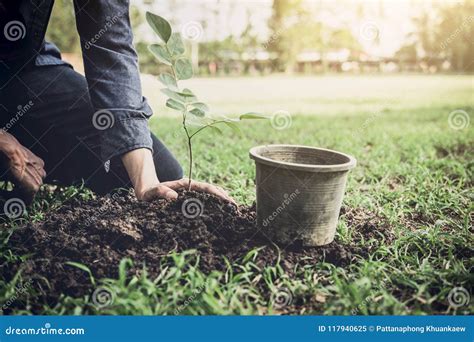 Young Man Planting The Tree In The Garden As Earth Day And Save Stock