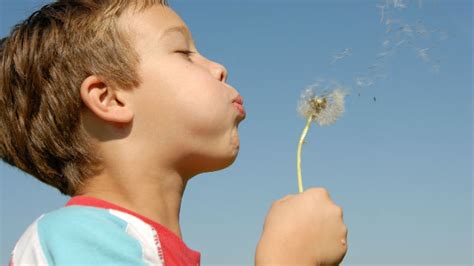 11 Things You Might Not Know About Make A Wish Mental Floss