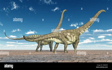 Mamenchisaurus Hi Res Stock Photography And Images Alamy