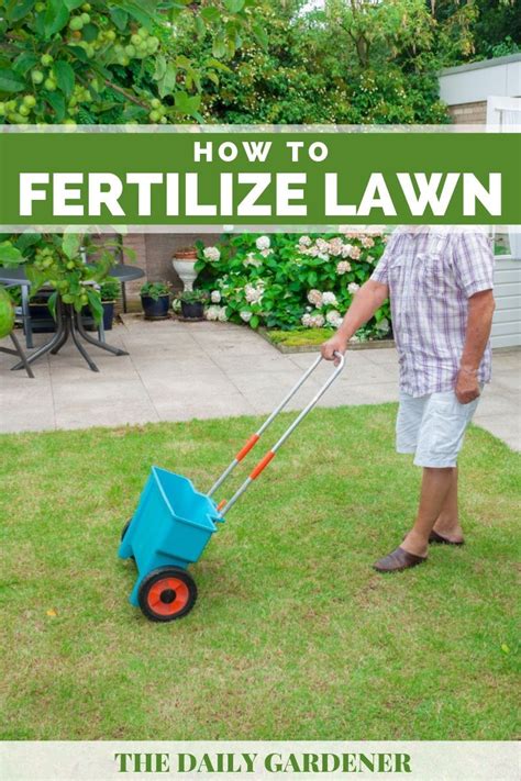 How To Fertilize Your Lawn Correctly The Unlimited Guide The Daily