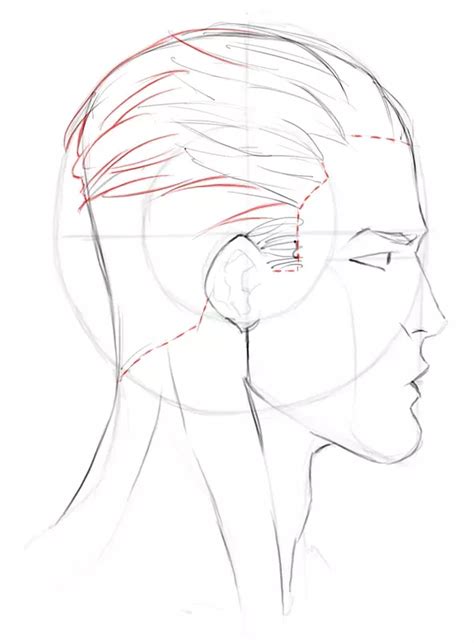 How To Draw The Side View Of The Male Head Face Profile Drawing