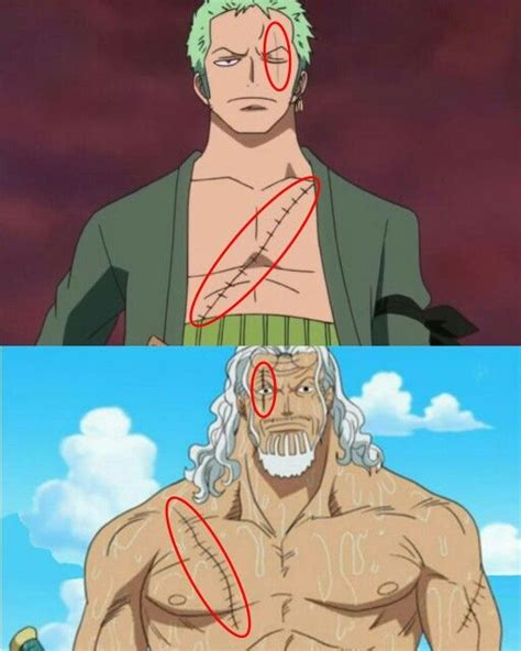 Zoro And Rayleigh Scars One Piece My Edit