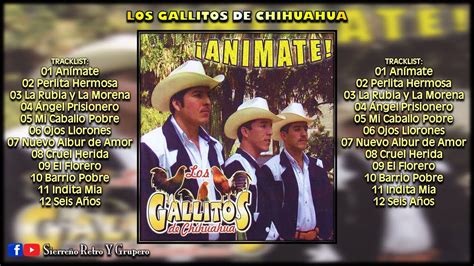 Los Gallitos De Chihuahua Anímate Disco De Estudio Youtube