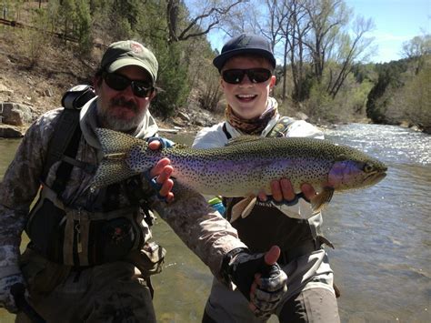 Fly Fishing In New Mexico All About Fishing