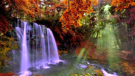 Autumn Forest Falls 2560x1600 0876