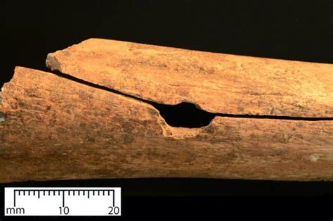 Study Medieval Arrows Were As Damaging As Gunshots Big Think