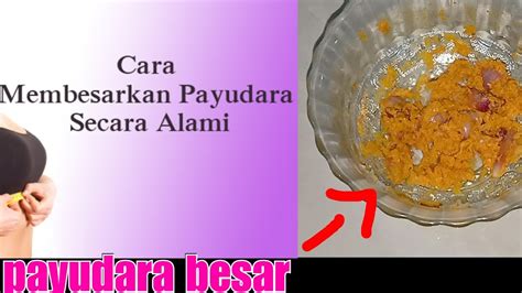 Untuk menambah ukuran payudara dengan cepat dan aman, bisa menggunakan ramuan herbal alami, ada beberapa ramuan herbal sederhana, yang dapat di gunakan untuk merawat payudara seperti krim perawatan yang di buah dari bahan krim roti dengan kandungan lemak tinggi dan putih. KEJUTATAN WANITA !!! CARA MEMBESARKAN PAYUDARA DENGAN ...