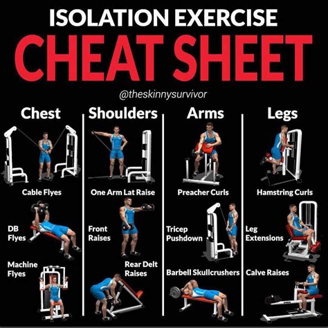 🔥isolation Exercise Cheat Sheet Cheat Workout Workout Plan For Men