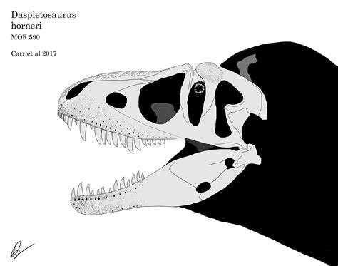 Daspletosaurus Horneri Skeletal By Xenopleurodon On Deviantart