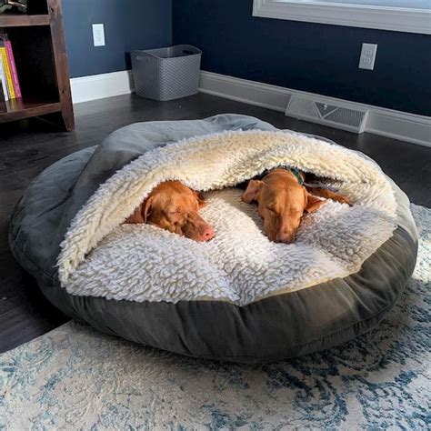 A dog bed for large dogs should do several things well. The Importance of Choosing the Right Calming Dog Bed for ...