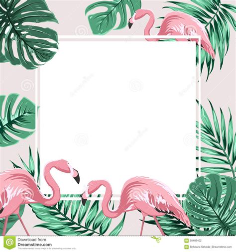 Tropical Border Frame Banner Leaves Flamingo Birds Photo About Natural