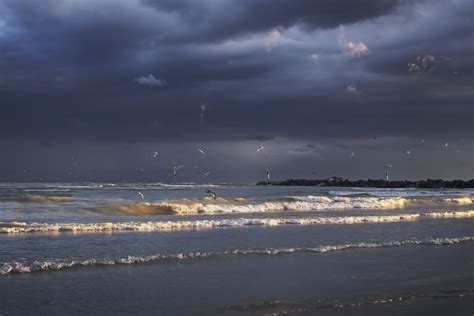 Free Images Sunset Waves Seagulls After Storm Blue Dark Sky