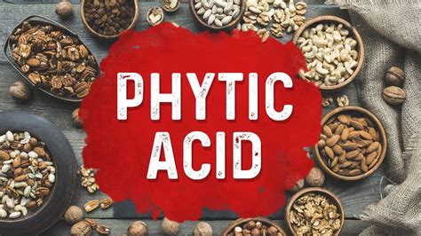 Is Phytic Acid That Bad Dr Berg Youtube