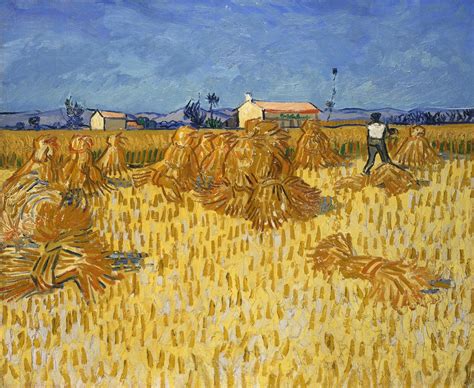 Vincent Van Gogh The Wheat Field Series La Serie Campi Di Grano