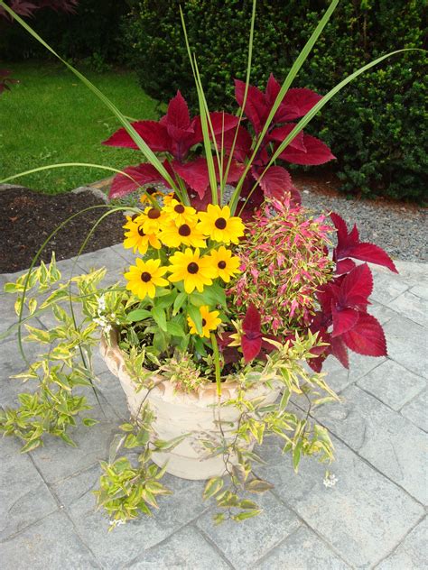 I Just Started Using Containers The Trick Is Using Perennials That You