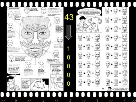 Reading Faces A Guide To Facial Micro Expressions