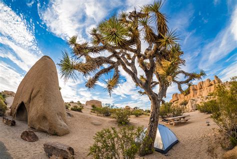 Stay close to nature in one of the 1644 hotels, lodges and places to stay near grand teton national park in jackson hole. Things To Do In Joshua Tree National Park - Travel Caffeine