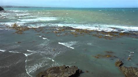 20150116 Bushy Beach Scenic Reserve New Zealand Youtube