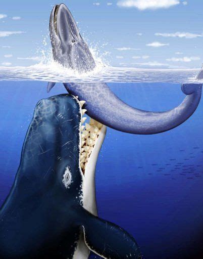 Top 5 Terrifying Prehistoric Sea Monsters