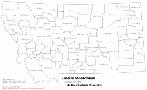 Eastern Meadowlark Montana Field Guide