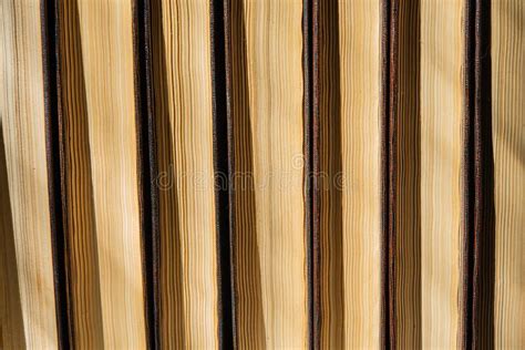 Vintage Books Standing In A Row On A Shelf On A Sunny Day Stock Photo