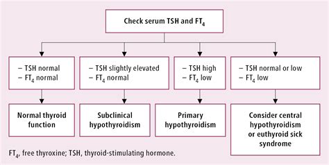 Hypothyroidism Thyroid Gland Diseases Endocrinology Diseases