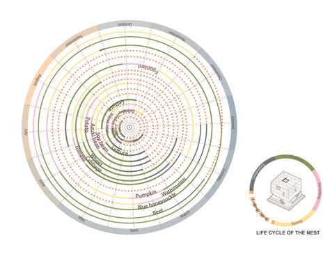 Esquemas Y Diagramas En La Representación Arquitectónica 30 Ejemplos