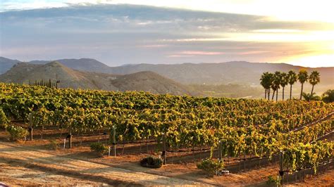 Travel California Wine Countrys Back Roads Southern California