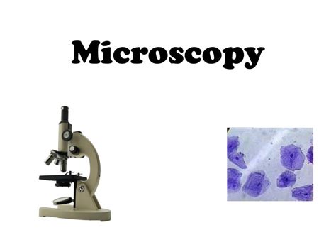 Ppt Microscopy Powerpoint Presentation Free Download Id1917487